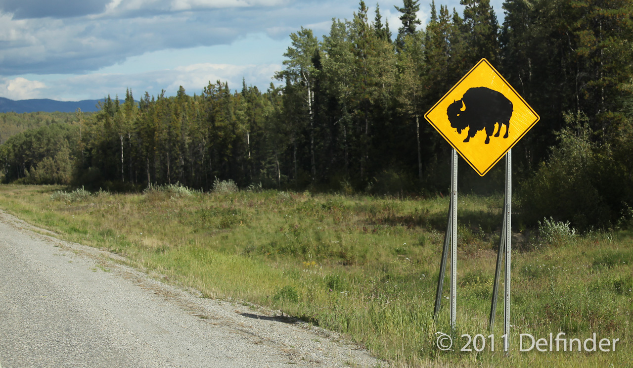 Schilder warnen vor Bisons