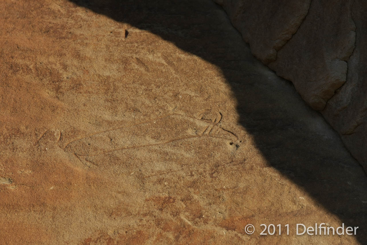 Nicht leicht zu erkennen: Gravur eines Bisons im Fels, Writing-on-Stone Provinz Park